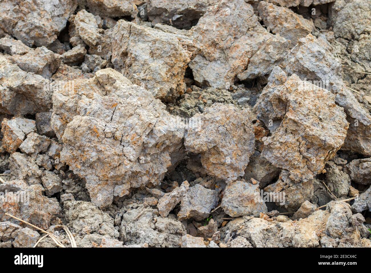 silt soil is a high fertility soil for agriculture, Silt is granular material of a size between sand and clay. Stock Photo