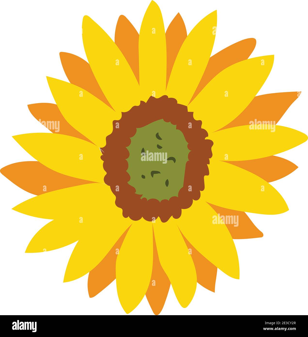 Sunflower flower isolated stock illustration Stock Vector Image & Art ...