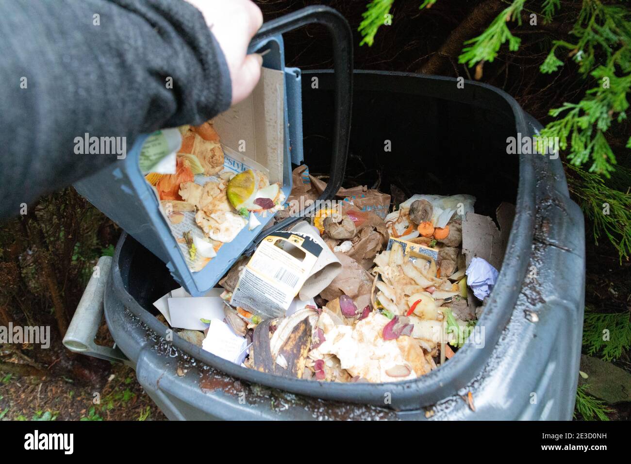 A householder adds compostable kitchen waste to their domestic compost heap in Dobcross, Oldham