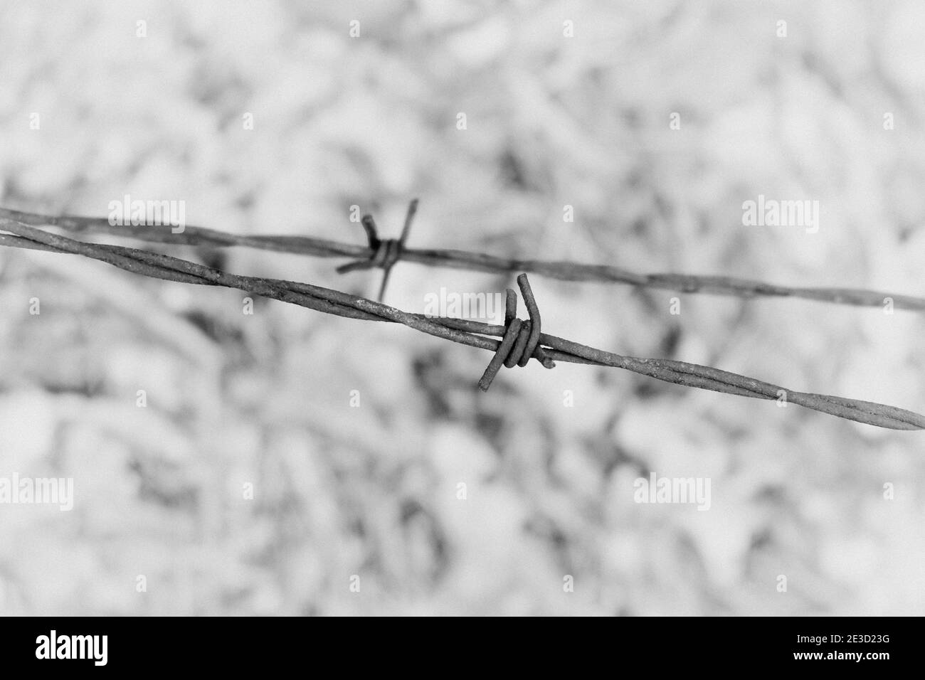 closeup of two barbed wire fence wires running parallel in black and