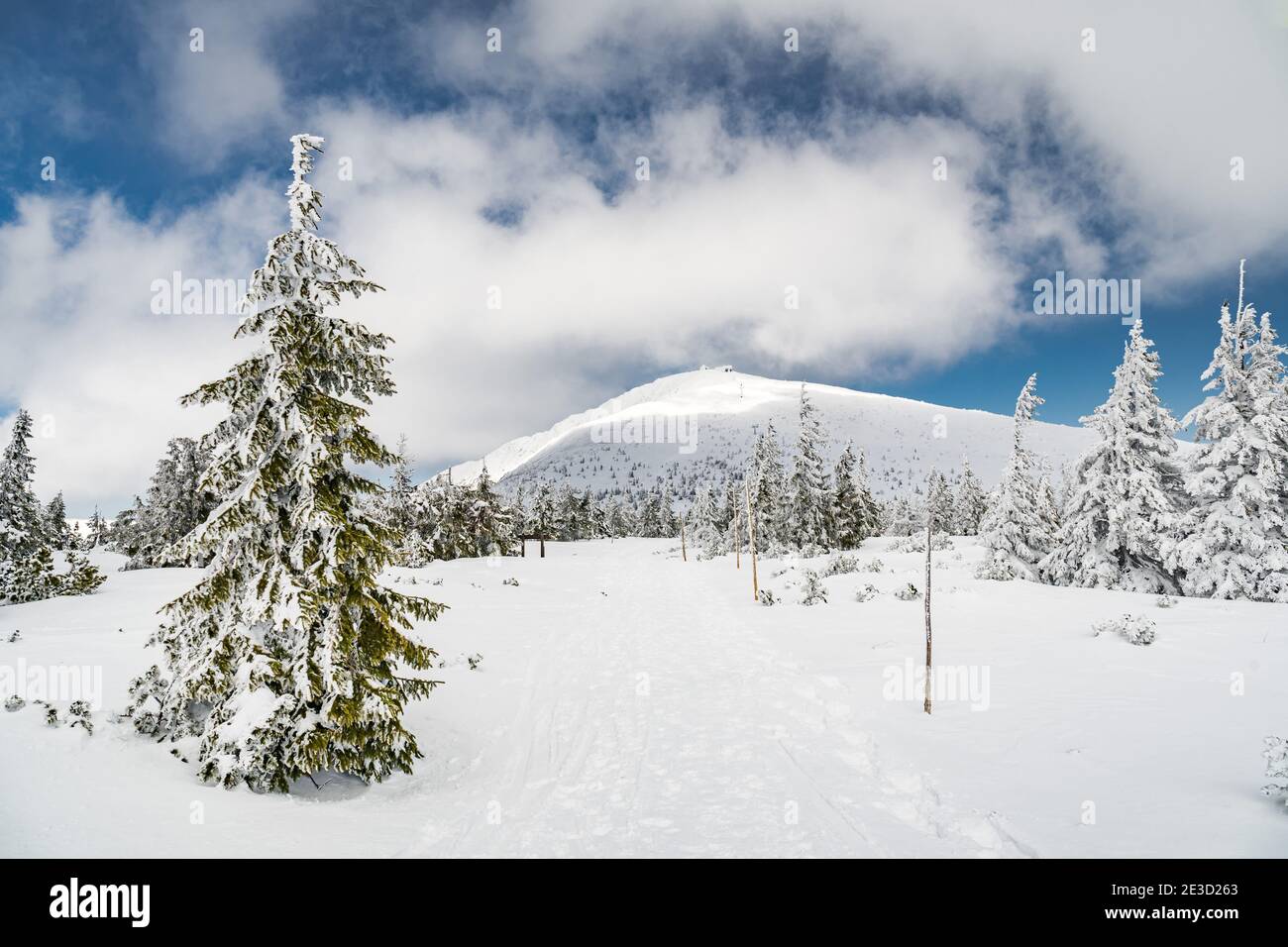 View to a hiking trail which leads to a summit of Snezka mountain, the highest Czech mountain. Located on a border with Poland. Winter picture of Stock Photo