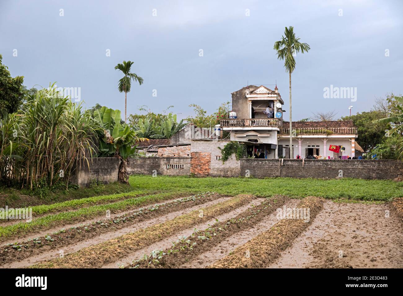 Field and farmhouse near Halong Bay / Ha Long Bay, Ninh Binh, Vietnam Stock Photo
