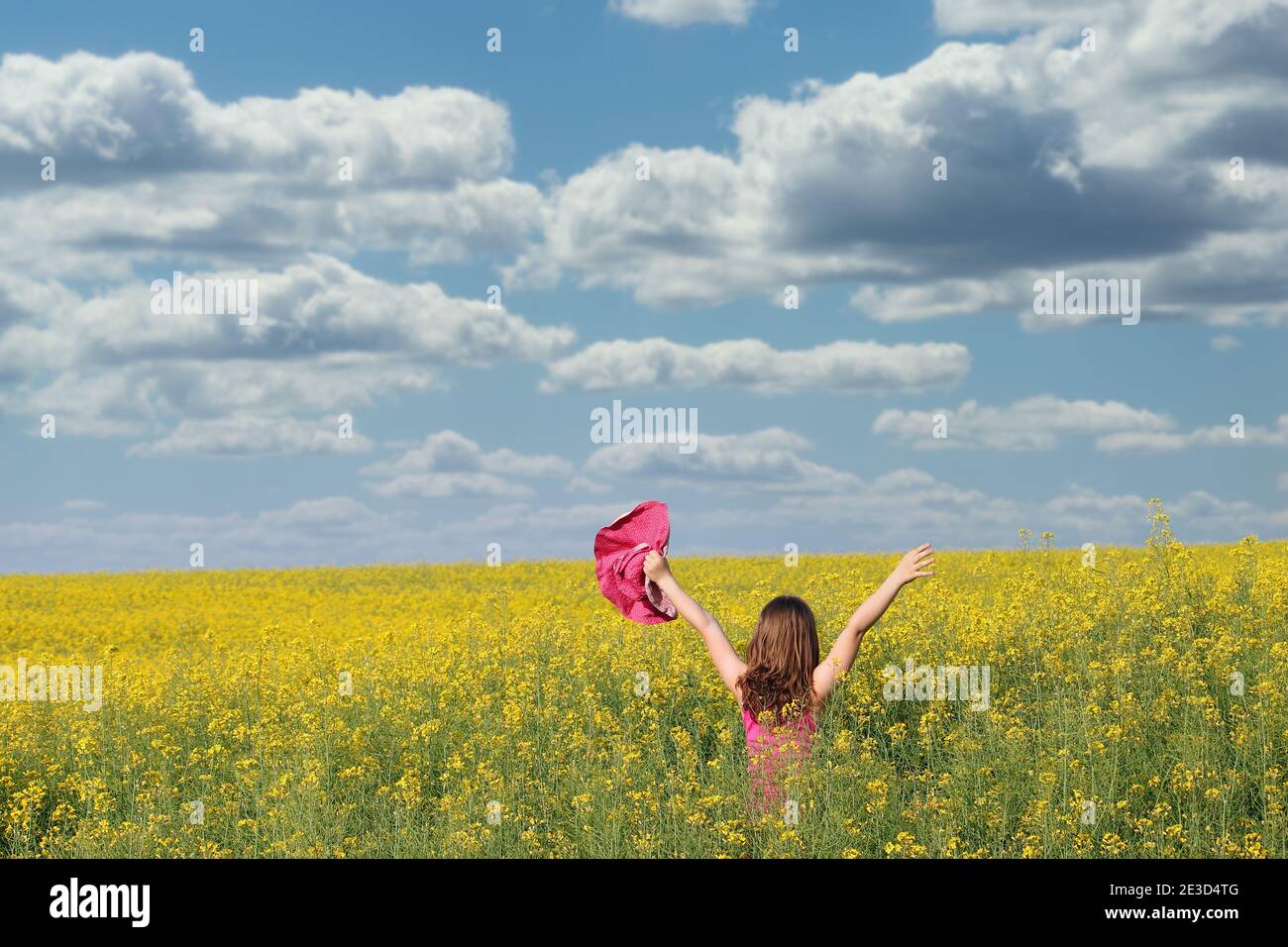 little girl with hands up in yellow flower field spring season Stock ...