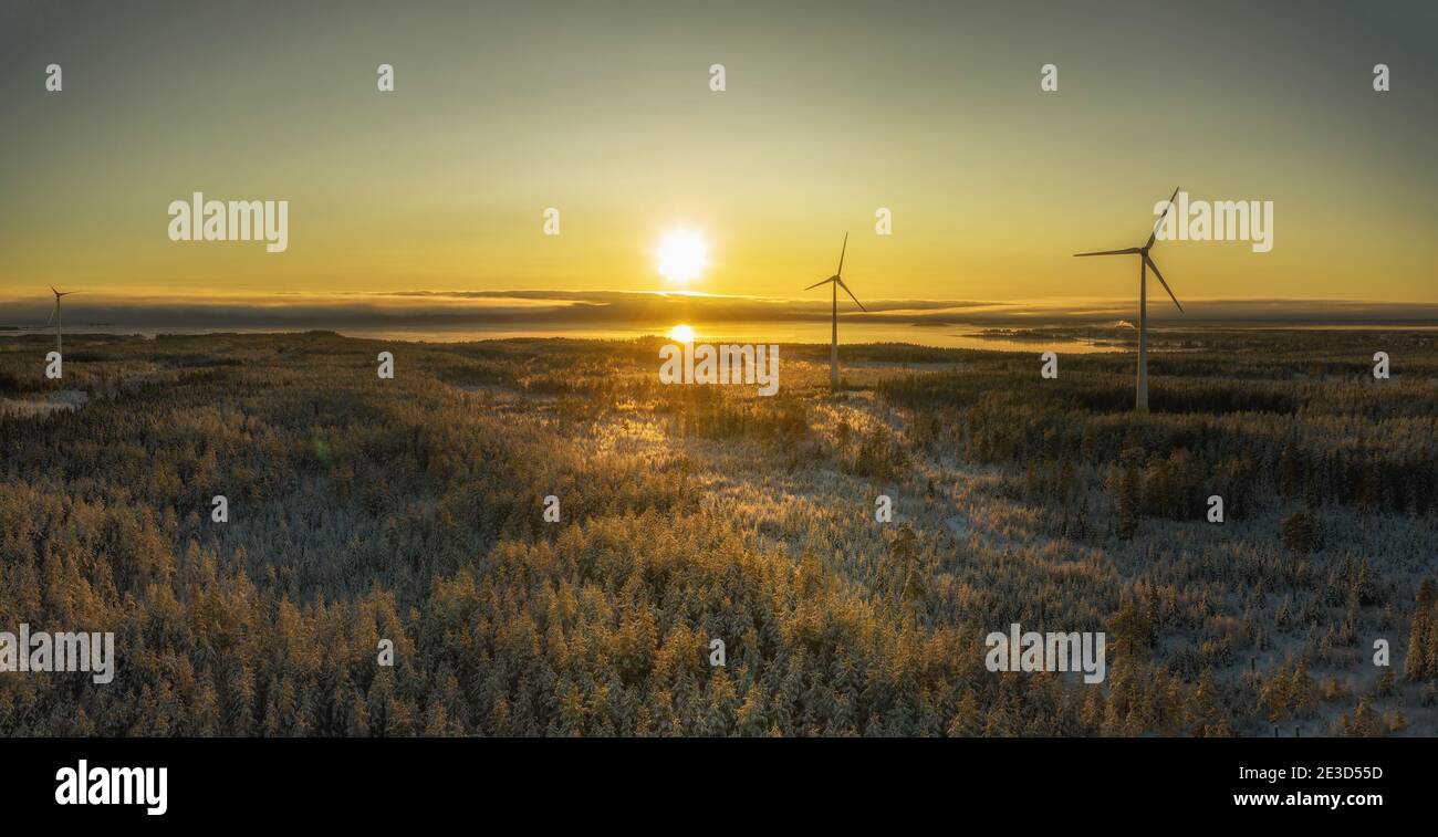 Spectacular fly in slightly foggy air towards two wind turbines and winter sunset. Flying above winter scandinavian pine tree forest to sea coastline Stock Photo