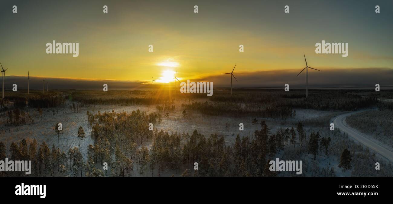 Spectacular fly in slightly foggy air towards between two rows of wind turbines and winter sunset. Flying above winter scandinavian pine tree forest t Stock Photo
