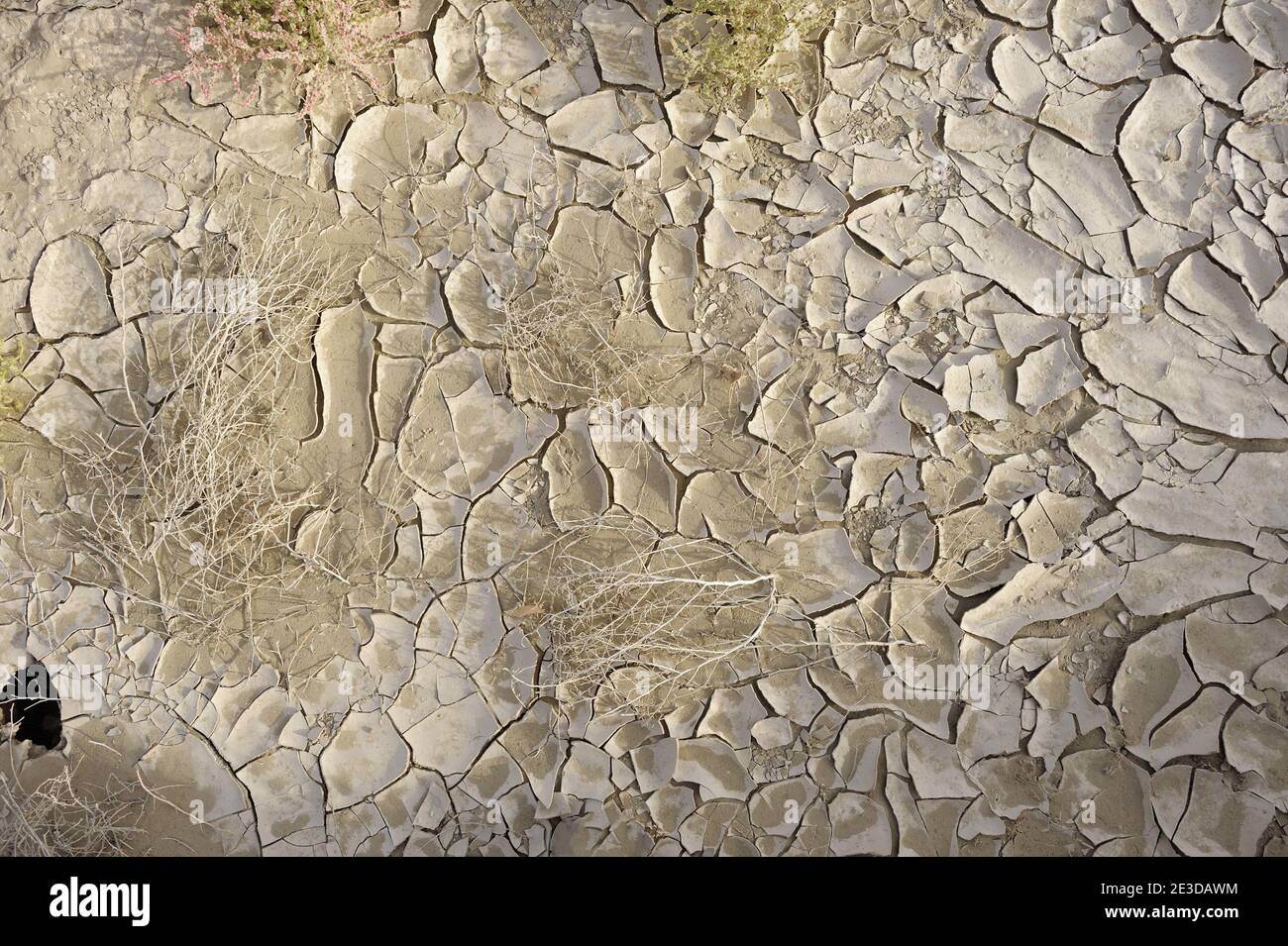 Dried soil pattern, Taklamakan desert in Chinese Xinjiang province ...