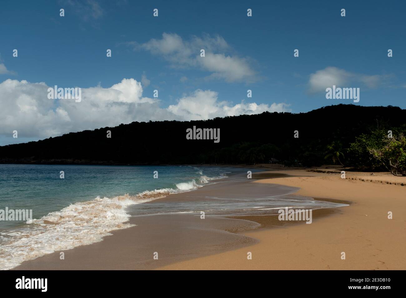 Plage Grande Anse, Deshaies, Guadalupe, French Antilles Stock Photo Alamy