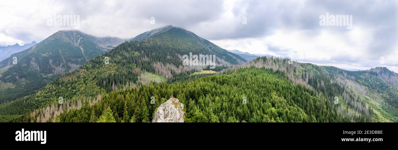 Panorama of Tatra Mountains seen from Gesia Szyja Peak, with Turnia nad Dziadem and Mala Koszysta peaks in the clouds. Stock Photo