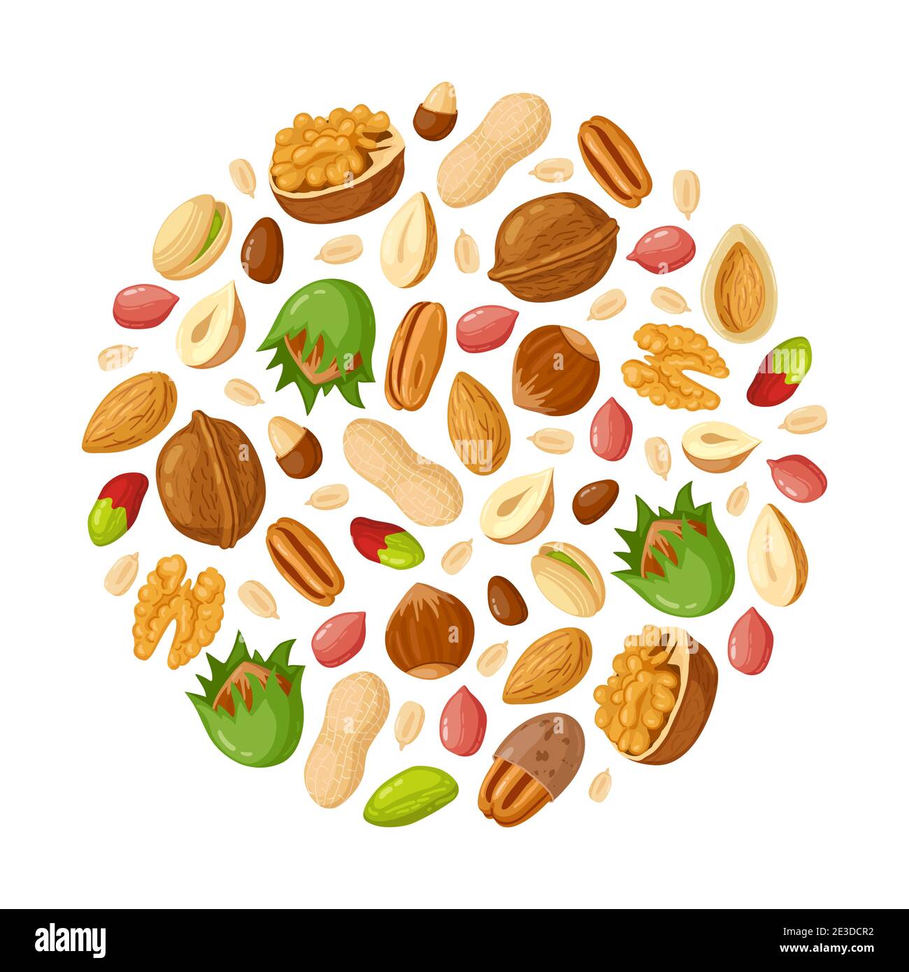 Cartoon seeds and nuts. Almond, peanut, cashew, sunflower seeds, hazelnut  and pistachio. Nut food vector illustration set Stock Vector Image & Art -  Alamy