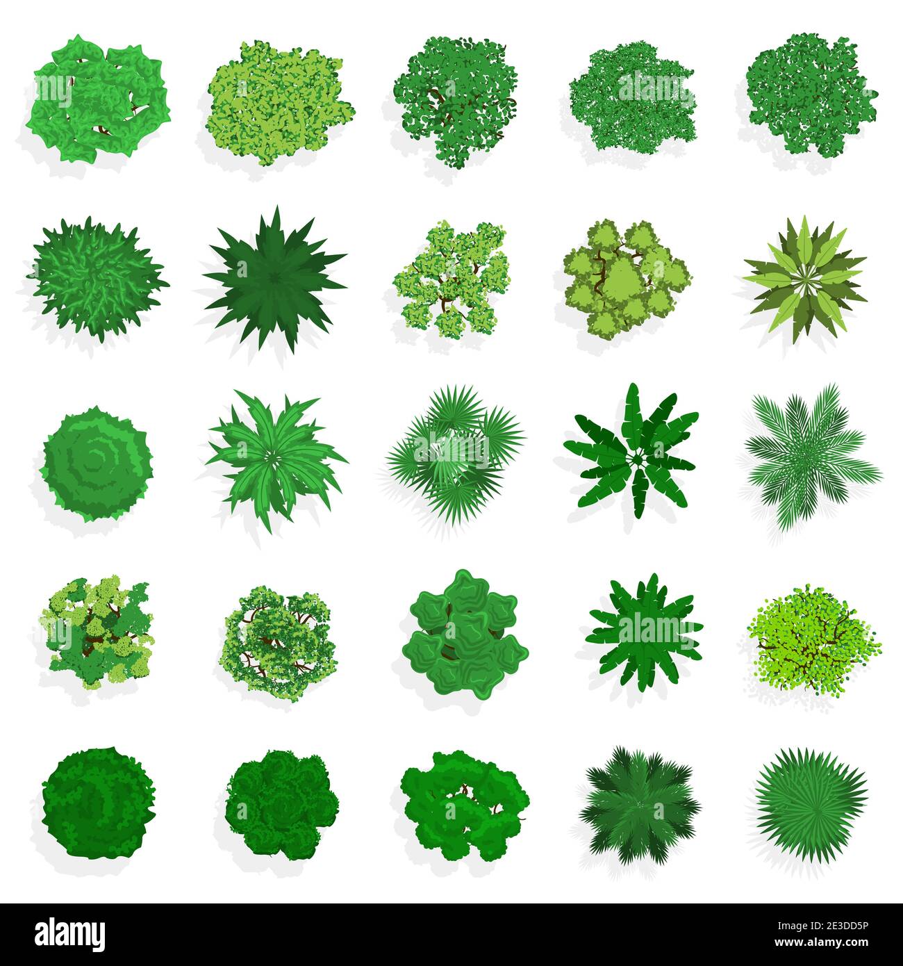 Tree trees vegetation bushes bush shrub shrubs Stock Vector Images Alamy