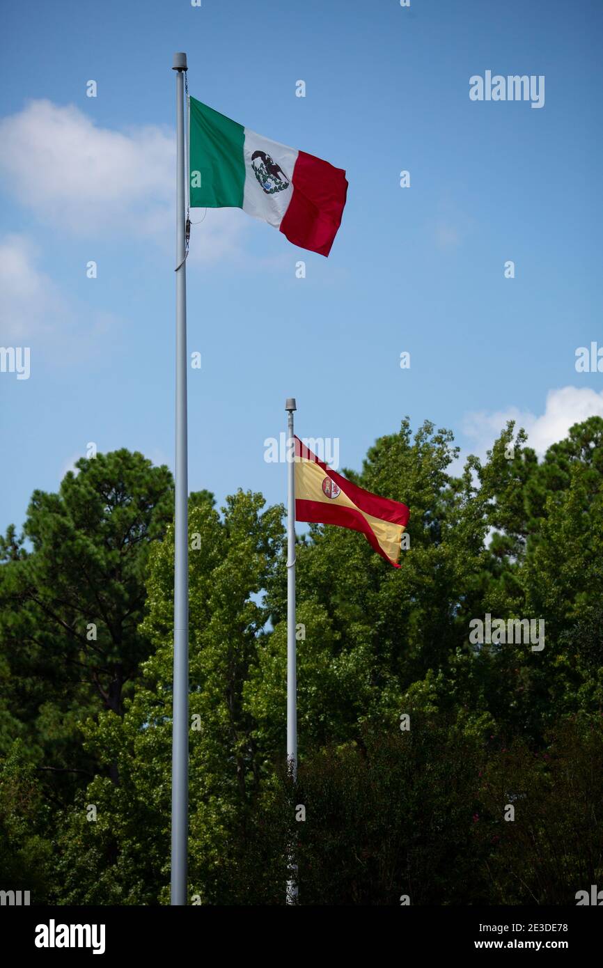 Green, white, red flag of Mexico, popping in the wind Stock Photo - Alamy