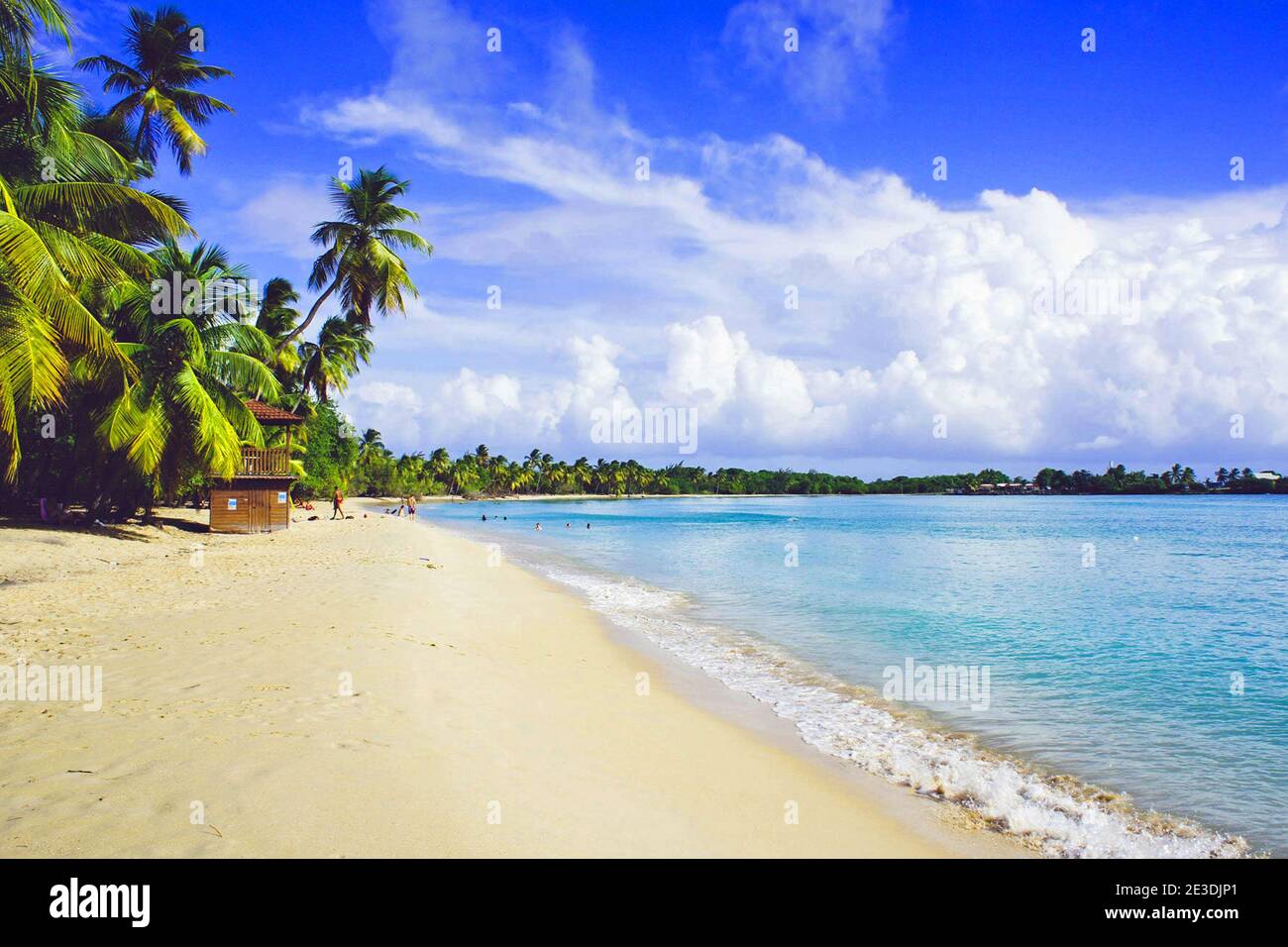 Plages De Martinique Stock Photo Alamy