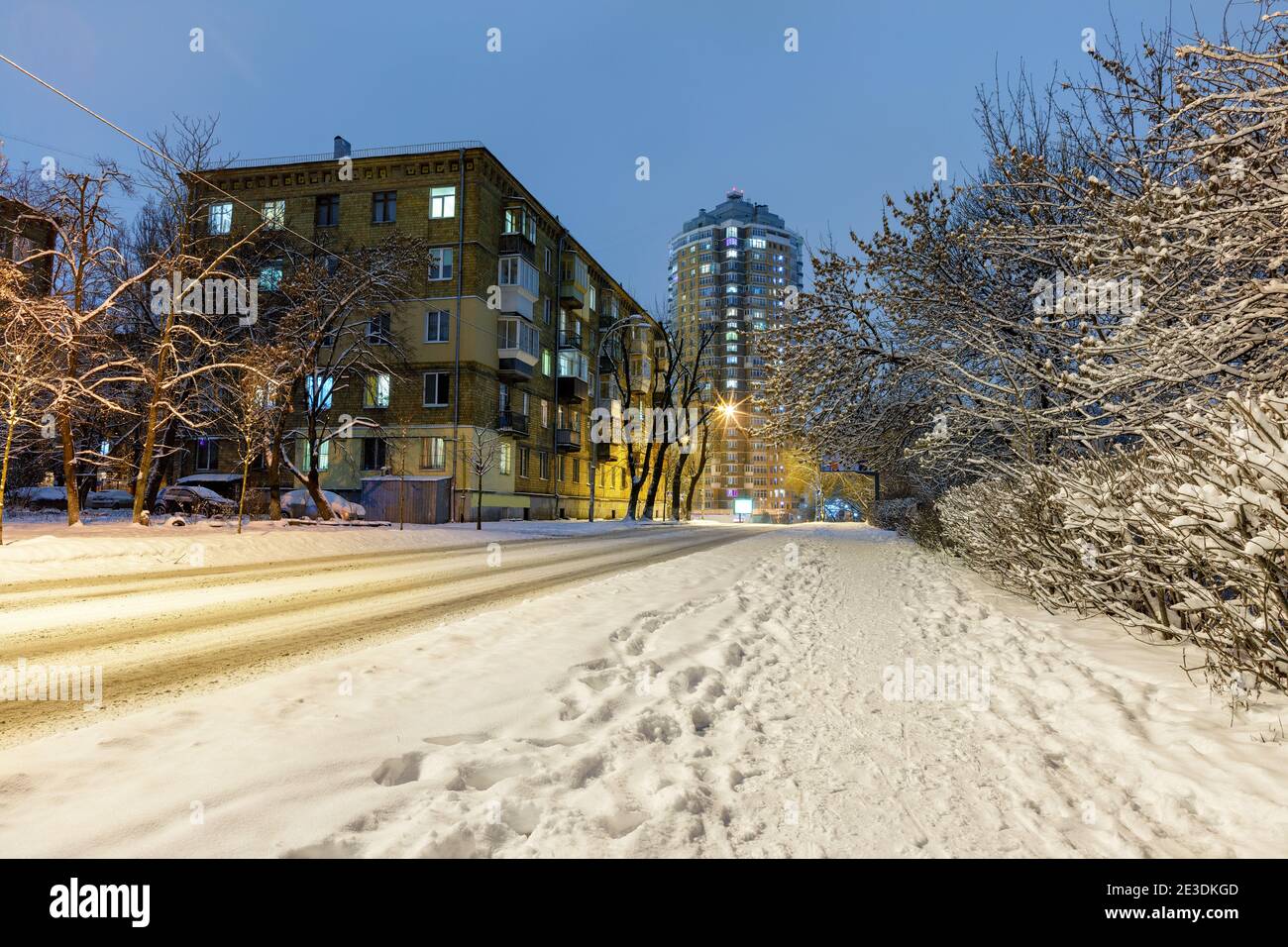 Winter city street at night with street lamps and trees covered