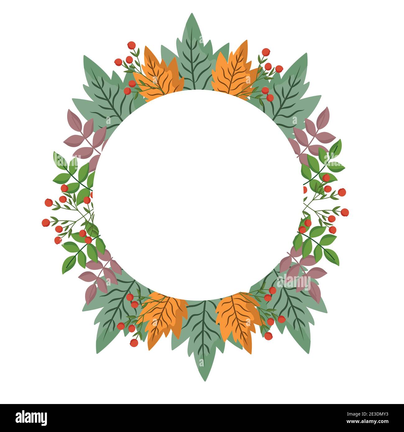 leaves branch berries foliage nature, circle frame vector illustration ...