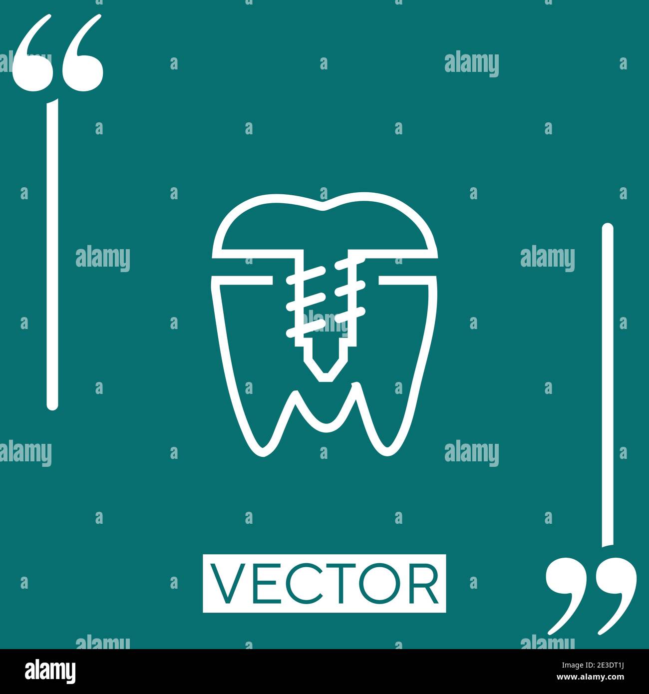 premolar vector icon Linear icon. Editable stroke line Stock Vector