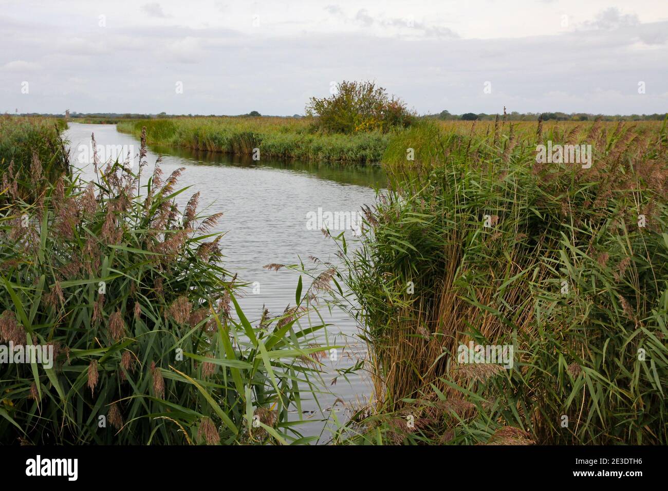 West Somerton Norfolk broads, River Thurne Stock Photo Alamy