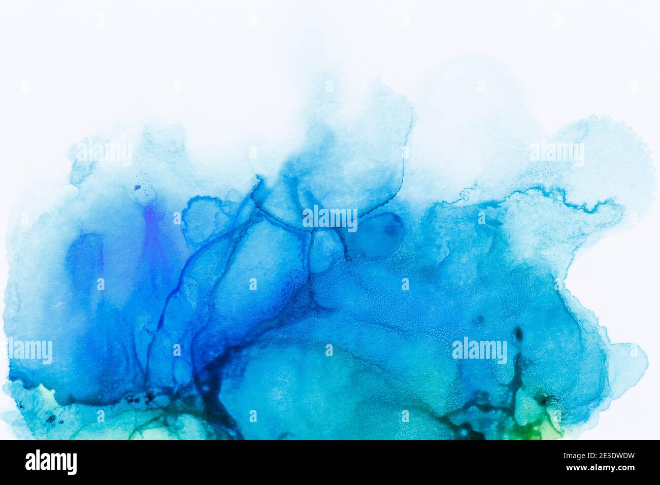 Macro close-up of abstract blue alcohol ink texture on white. Fluid ink, colorful textured background. Vibrant color. Art for design. Stock Photo