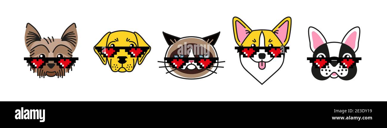 Bulldog, corgi, labrador, terrier and grumpy cat Stock Vector