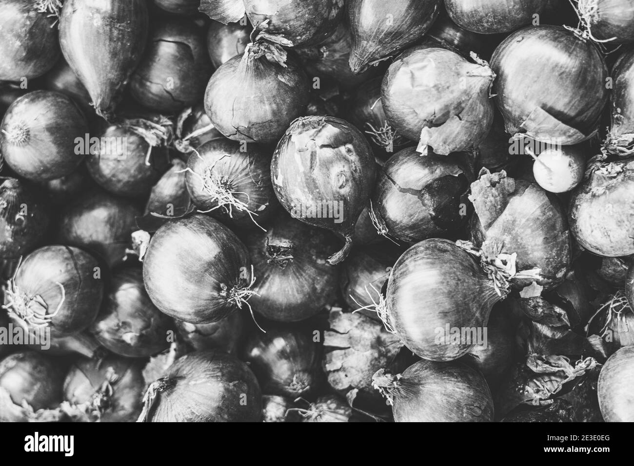 vintage black and white shot of a pile of onions Stock Photo