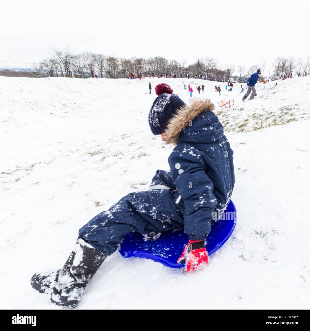 Child kid sledging on the site of the ancient Amphitheatre in winter on Becsi-domb, Sopron, Hungary Stock Photo