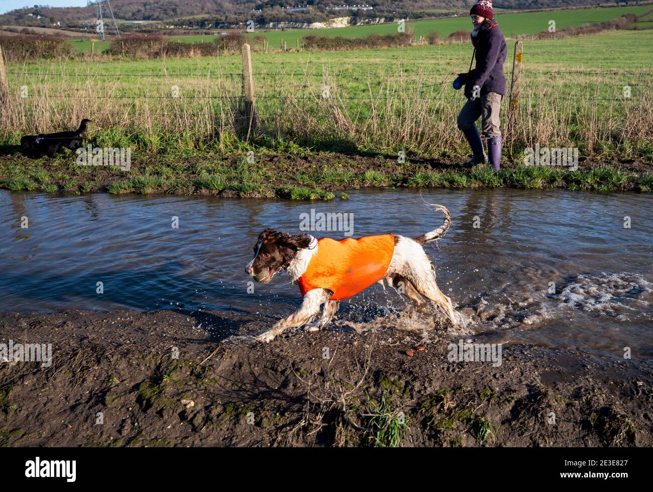 Mother and son walking with dogs through flooded and muddy fields in