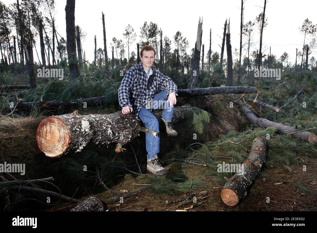 chaussure comme timberland