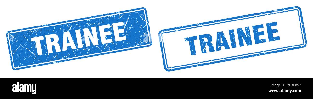 trainee square stamp. trainee grunge sign set Stock Vector