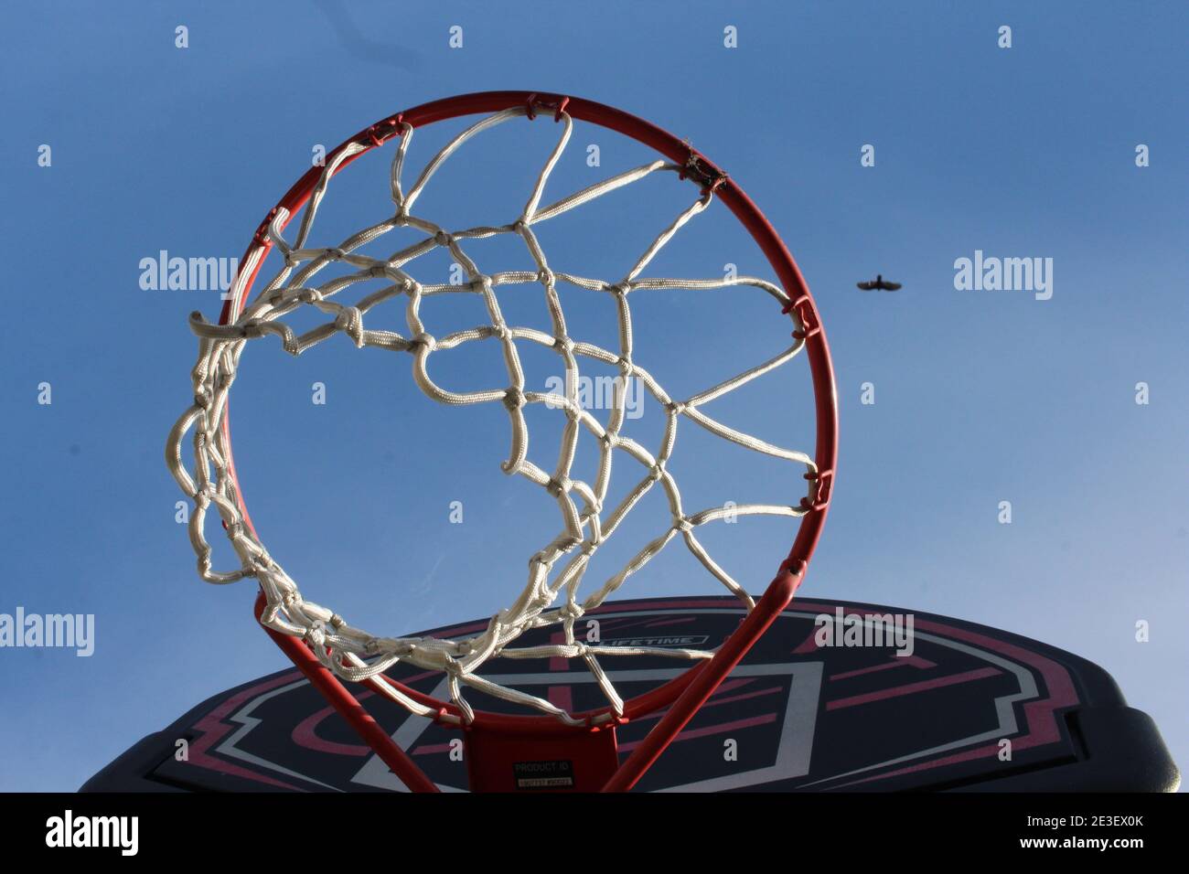 Basketball hoop close up Stock Photo