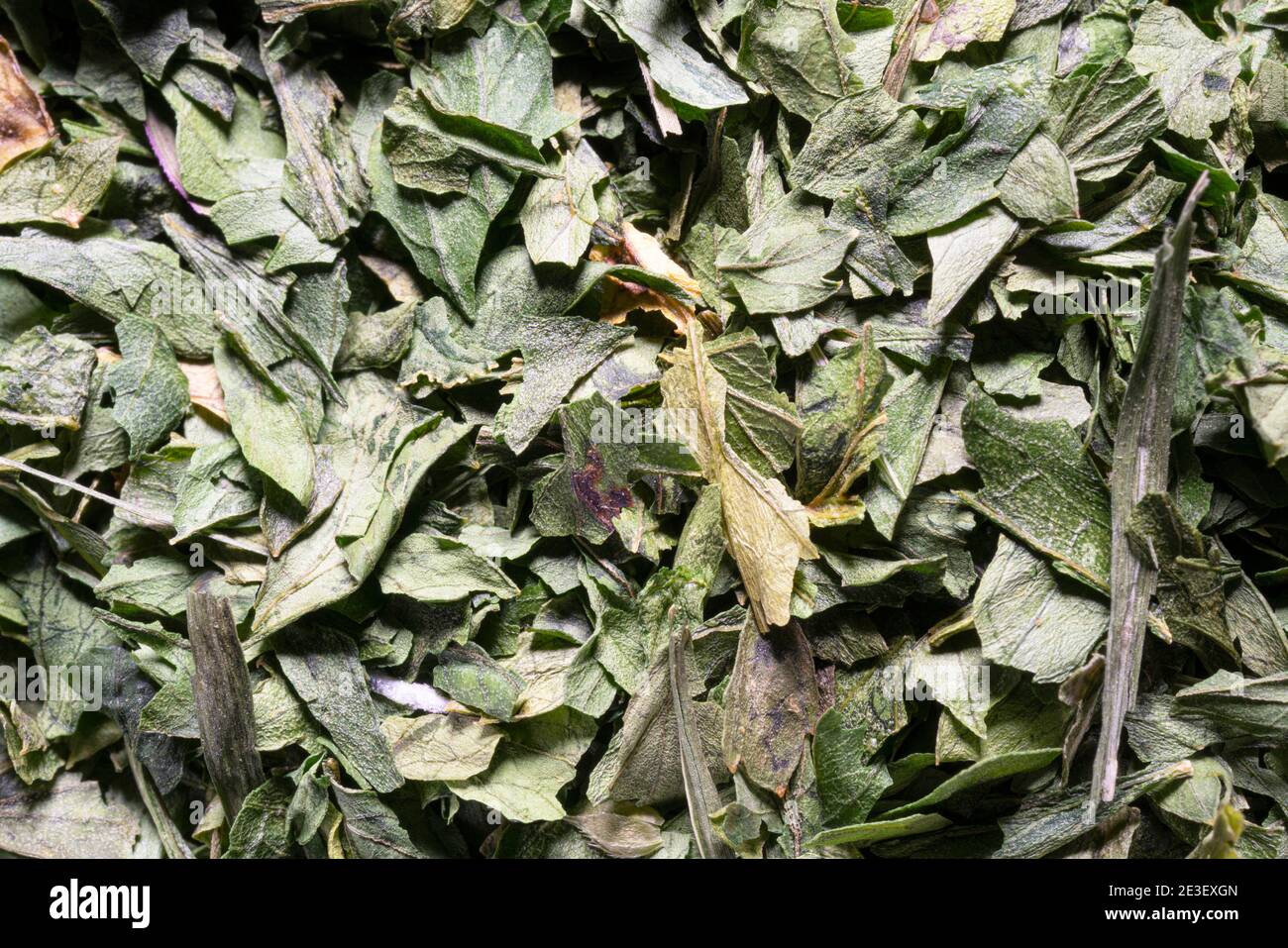 some chopped and dried parsley leaves Stock Photo Alamy