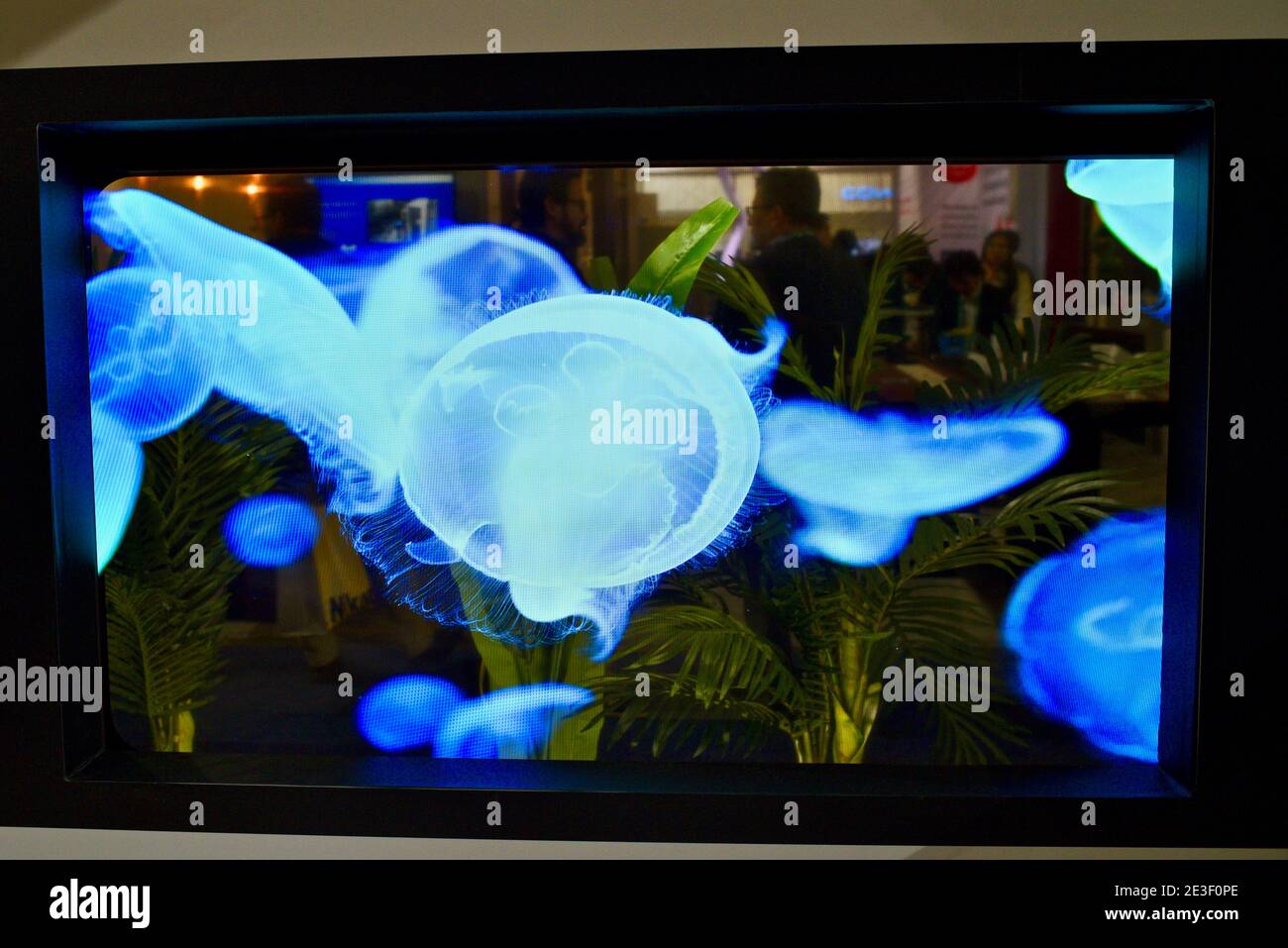 Panasonic transparent OLED glass display module, showcased in exhibit booth at CES, world's largest trade show Las Vegas, NV, USA Stock Photo
