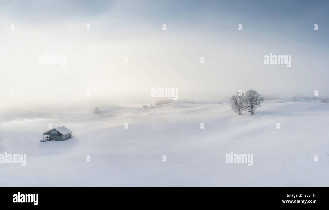 Dreamy winter landscape with snow covered trees, house and sun poking through mist Stock Photo