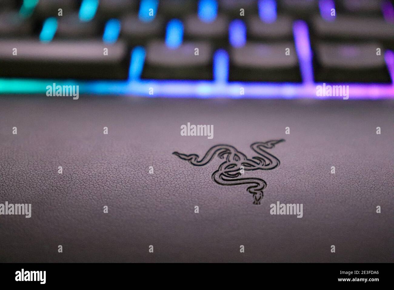 Razer symbol engraved on the skin of the Ornata Chroma keyboard, illuminated and colored keys. Stock Photo