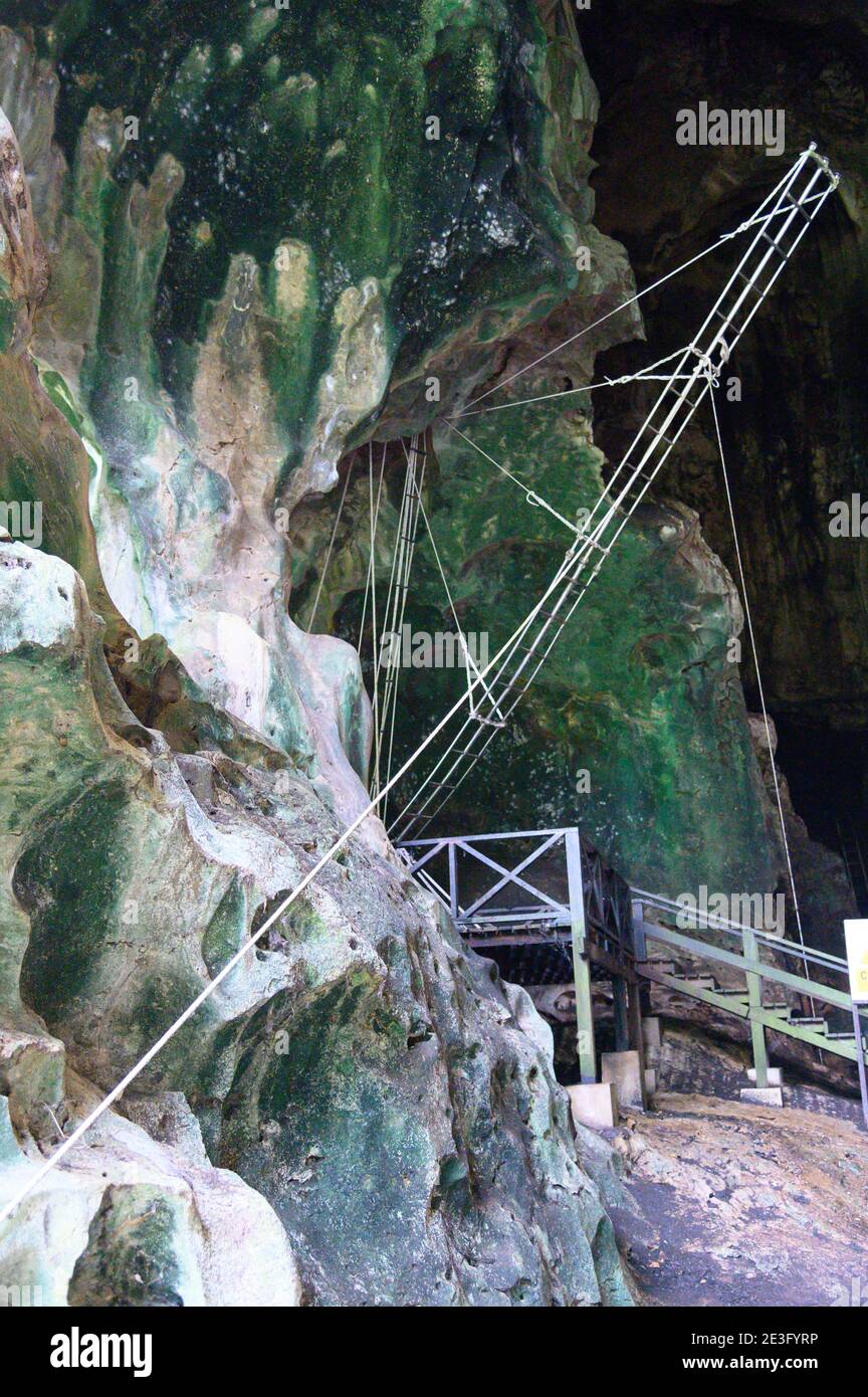 ladder used to collect nests for bird nest soup inside the Gomanton Cave Stock Photo
