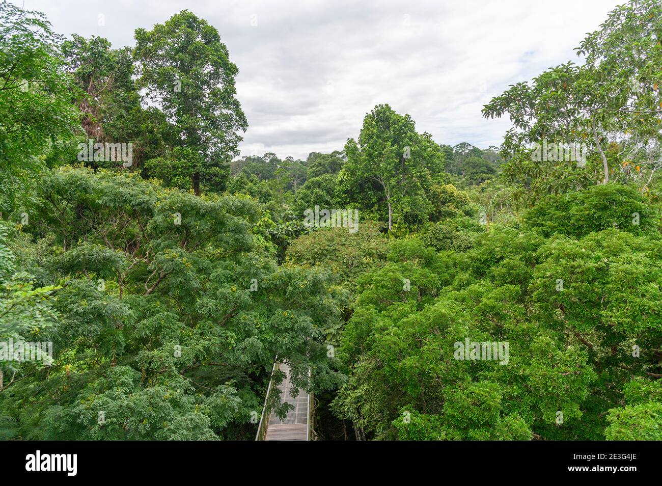 Canopy walk hi-res stock photography and images - Alamy