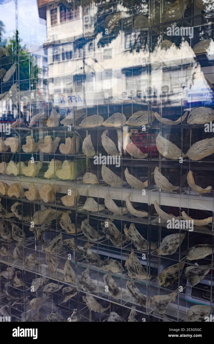 Edible birds nest malaysia hires stock photography and images Alamy