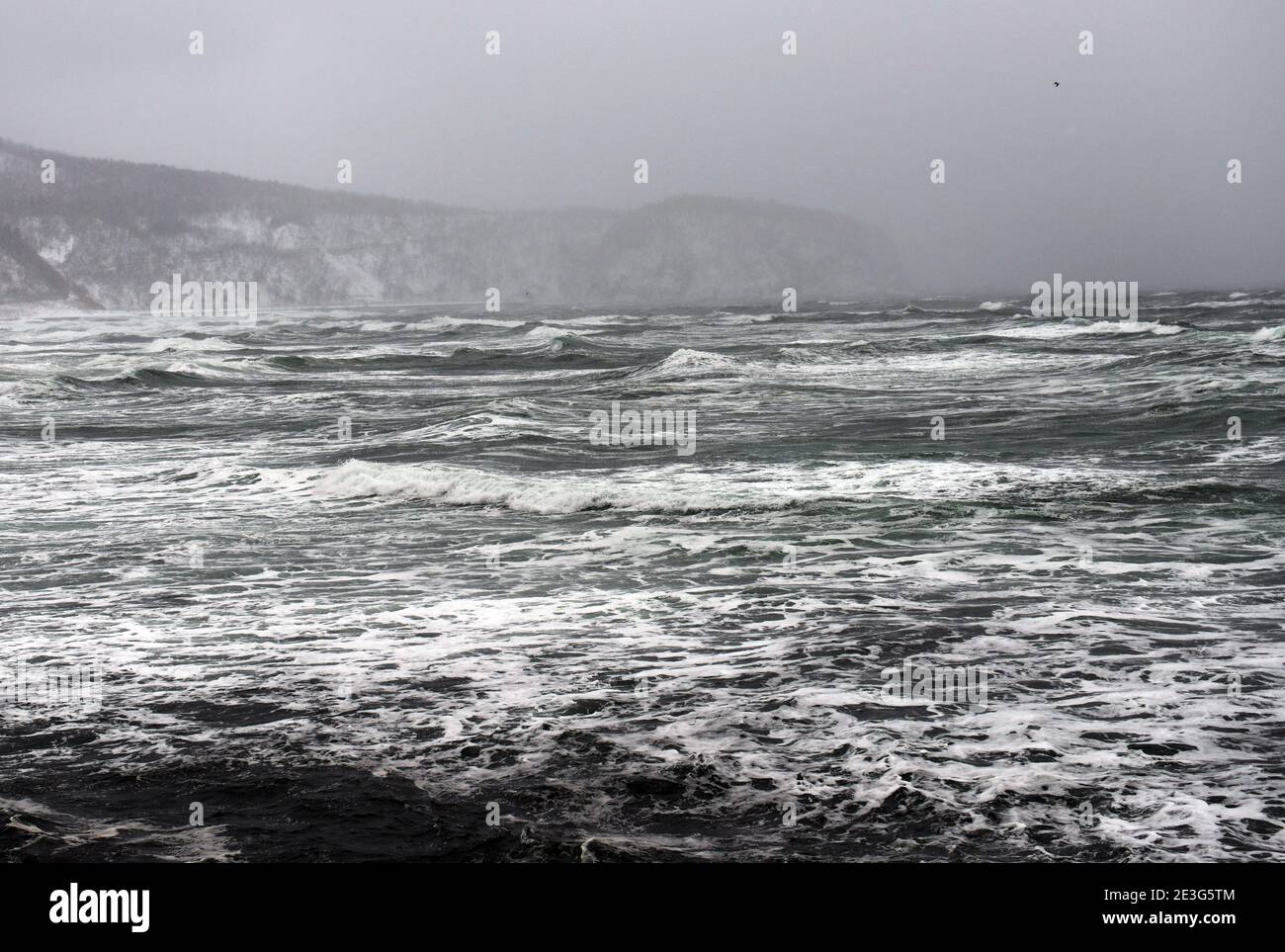 Rough sea in the harsh winter in Hokkaido, Japan Stock Photo - Alamy