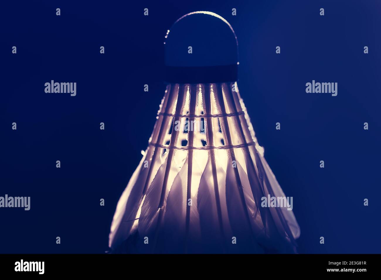 Goose Feather Badminton Shuttlecocks in the dim light Stock Photo Alamy