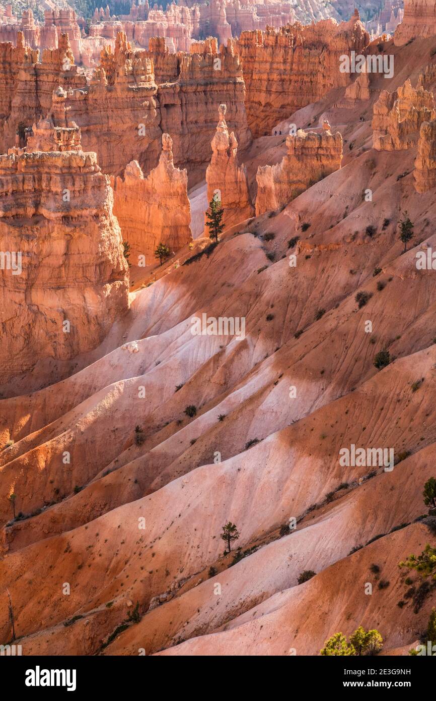 Sloped ridges, gullies and cliffs along the top of Bryce Canyon National Park, Utah, USA. Stock Photo