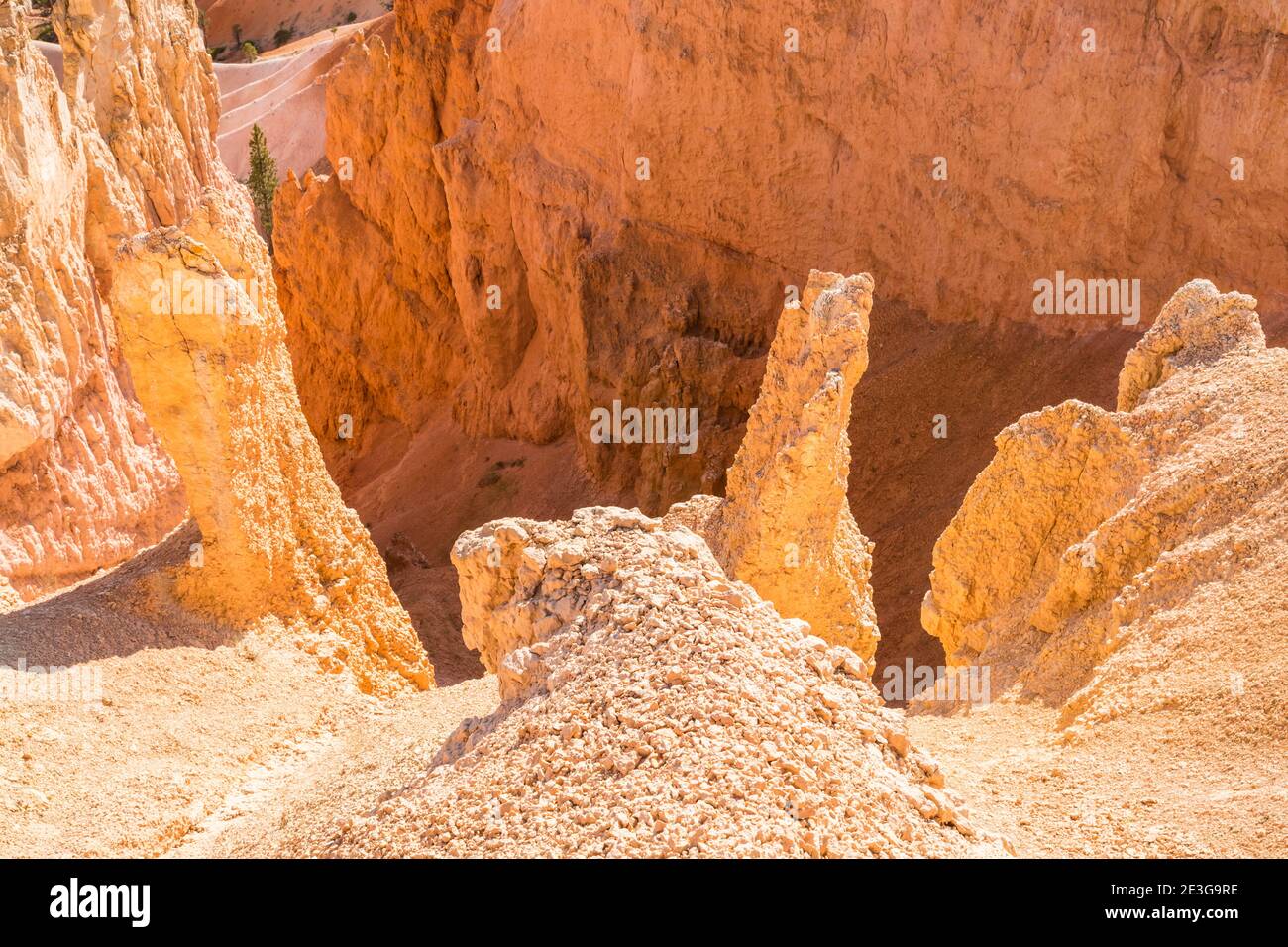 Looking down into the many gullies running off the canyon rim at Bryce Canyon National Park, Utah, USA. Stock Photo