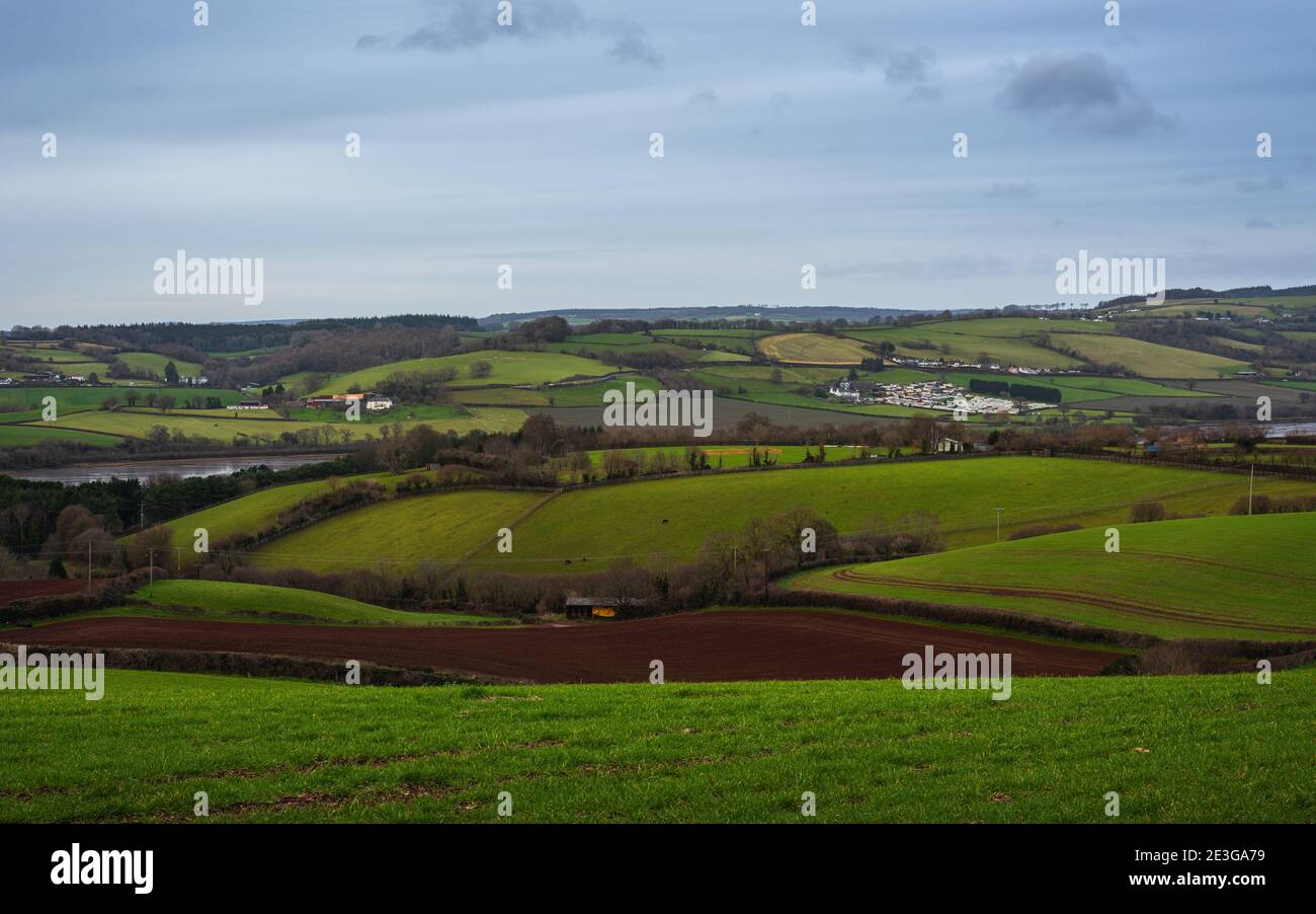 Fields and Meadows of Newton Abbot and River Exe, Devon, England, Europe Stock Photo
