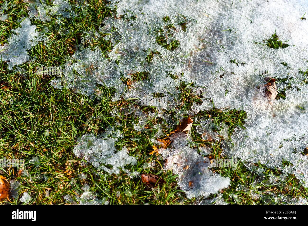 melting snow on green grass lawn Stock Photo Alamy