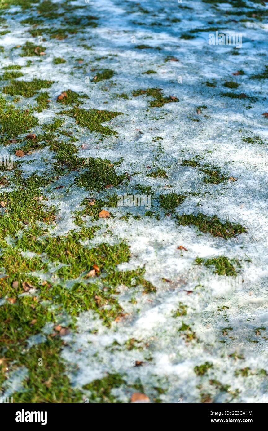 melting snow on green grass lawn Stock Photo