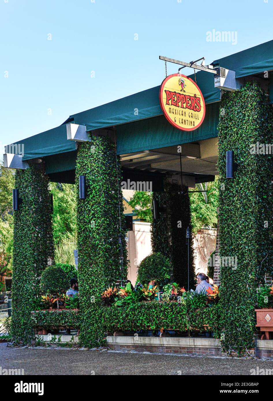 Mexican ivy hires stock photography and images Alamy