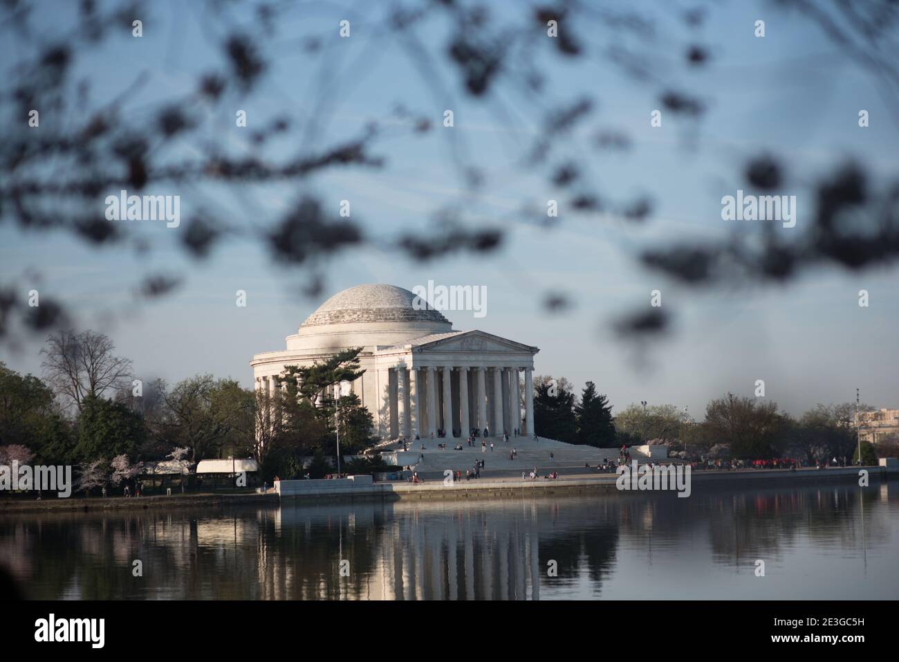 Cherry Blossom Festival in the sprintime in Washington, DC Stock Photo