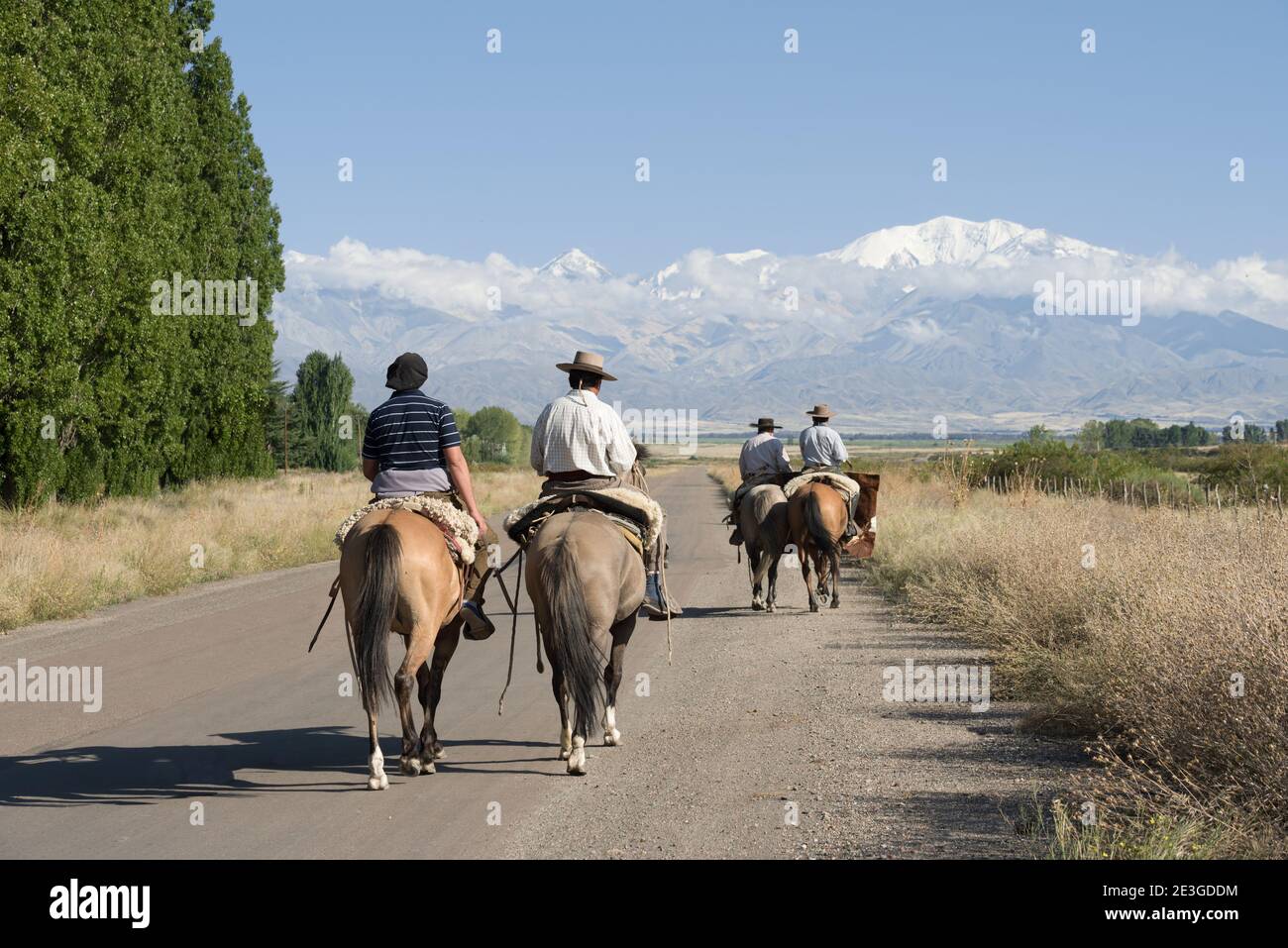 Gauchos riding horses in the wine route, near to the Andes mountains of Mendoza Argentina Stock Photo