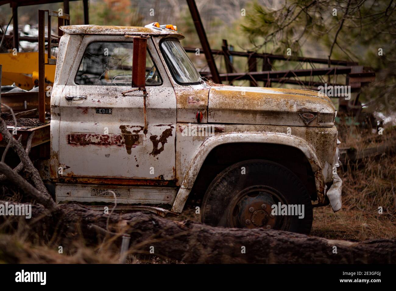 A rusty, white 1965 GMC 4000 2 1/2 ton stake-body work truck, at a sawmill, in Troy, Montana, USA.  GMC C/K series truck truck Stock Photo