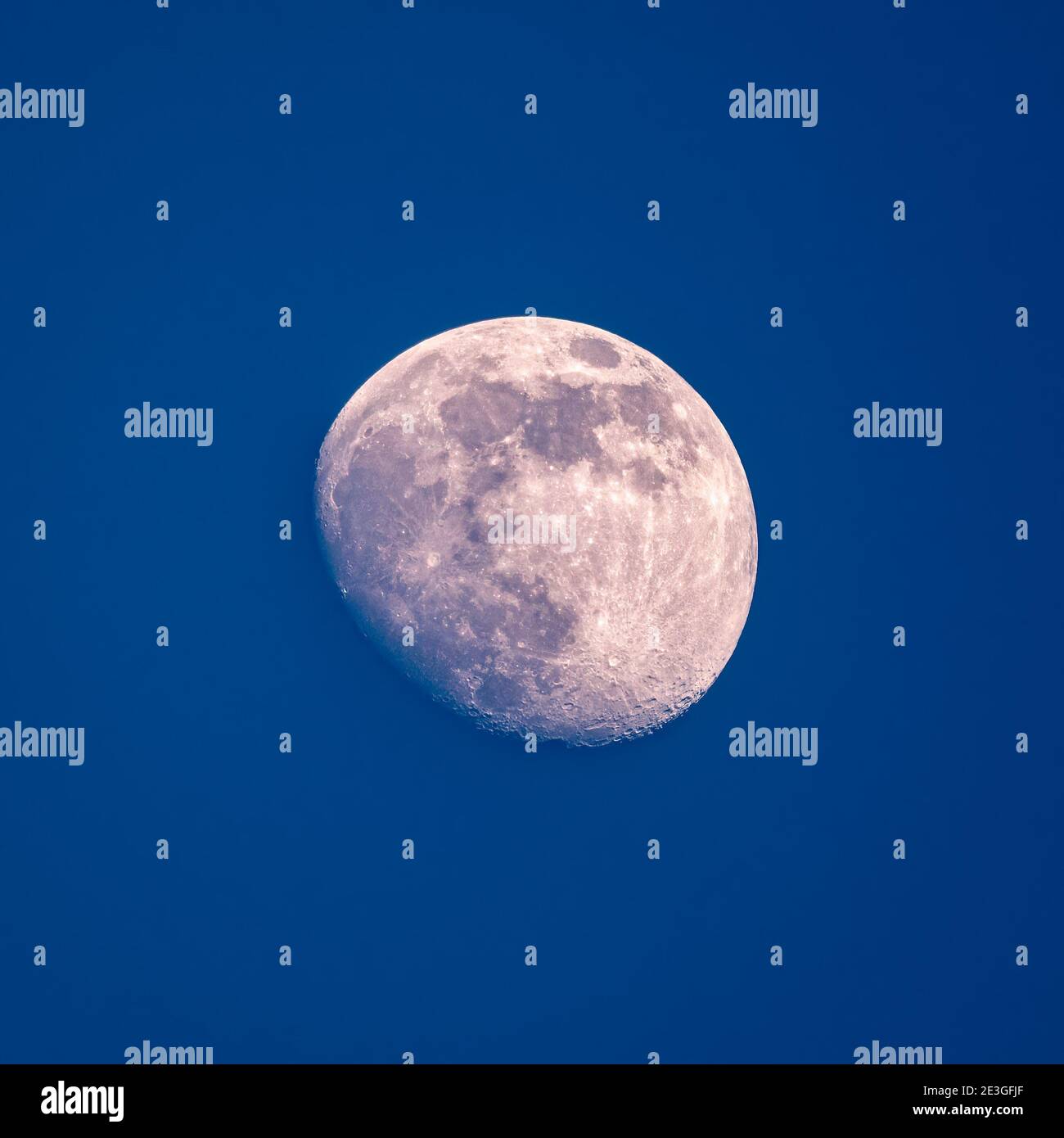 Detailed image of the half moon. Beautiful half moon on the dark blue