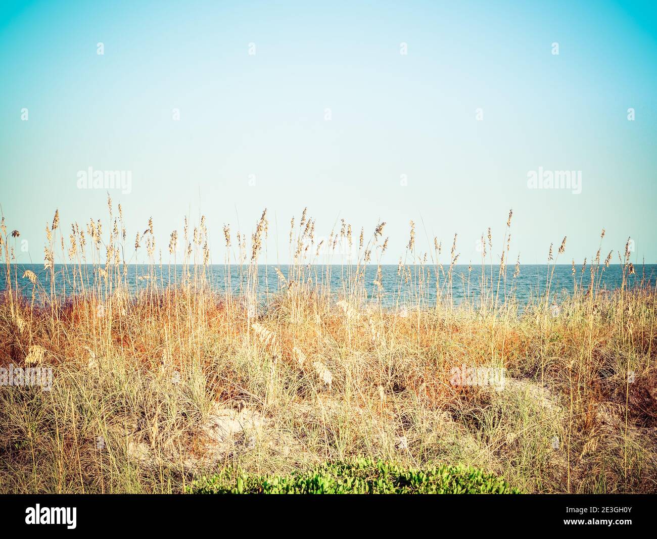 A calming view through the sea grasses on the dunes looking out to the Atlantic Ocean on Fernandina Beach, on Amelia Island, FL Stock Photo