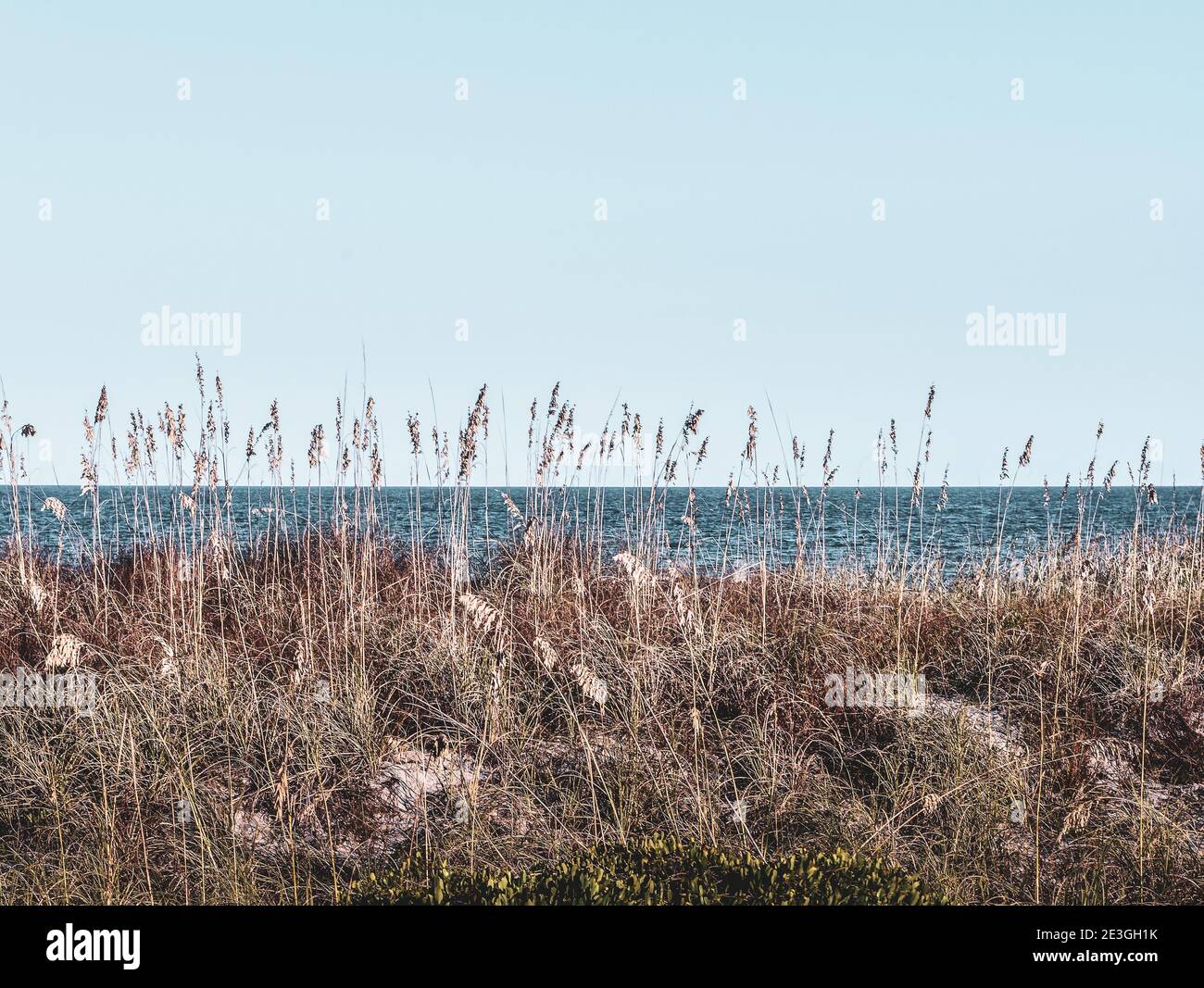 A calming view through the sea grasses on the dunes looking out to the Atlantic Ocean on Fernandina Beach, on Amelia Island, FL Stock Photo