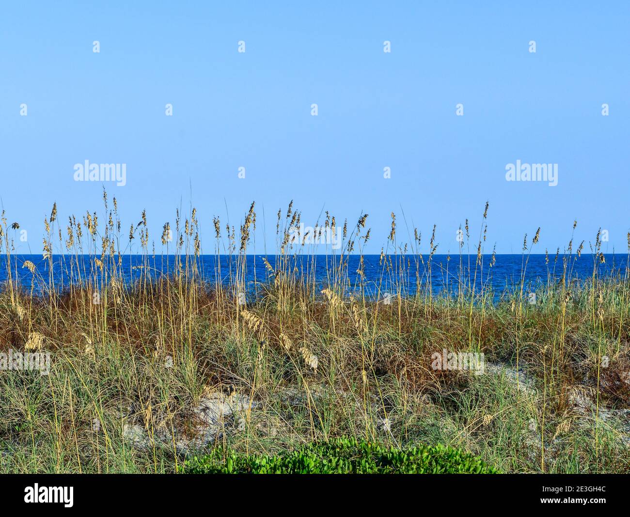A calming view through the sea grasses on the dunes looking out to the Atlantic Ocean from Fernandina Beach, on Amelia Island, FL, USA Stock Photo